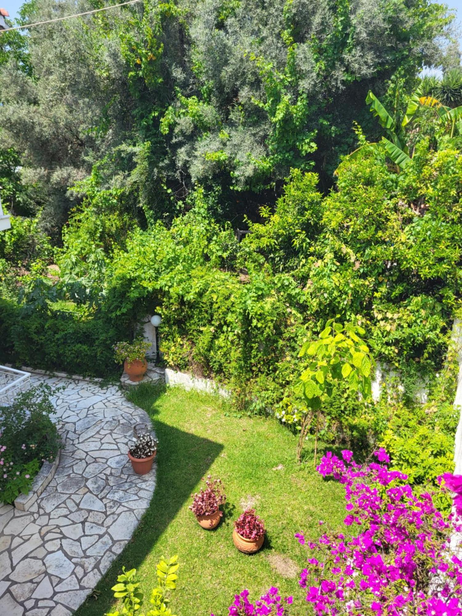 Dimitra Studios Lefkada City Exterior photo
